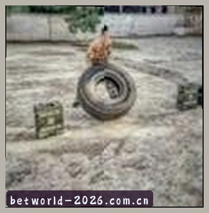 周总